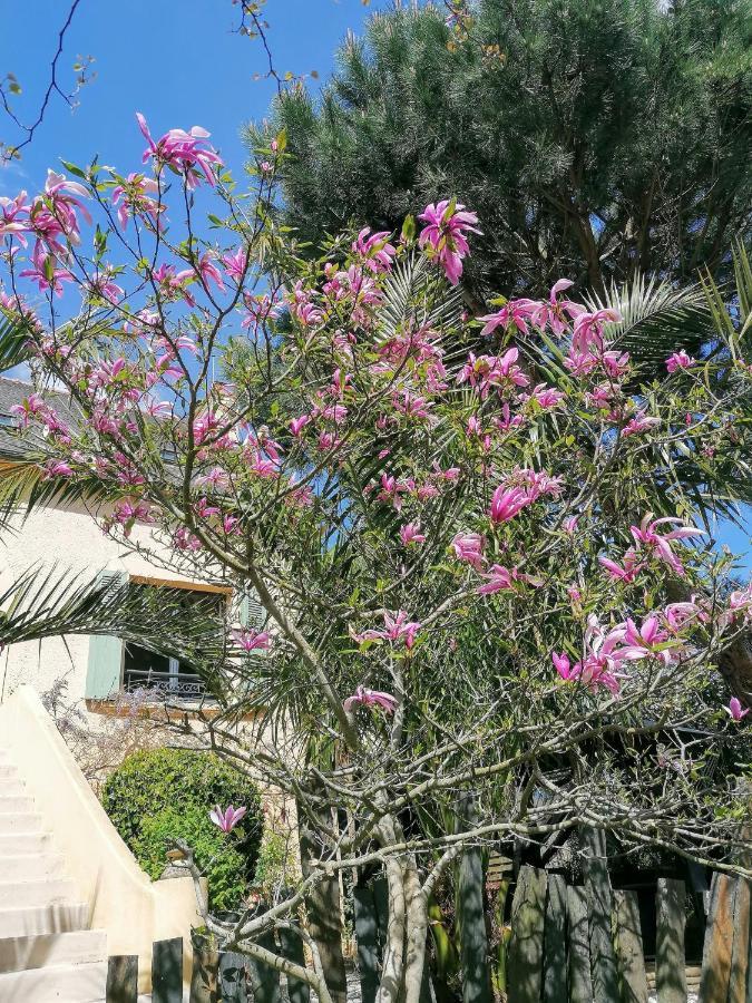 Guest House Dans Jardin Exotique Proche D'Une Voie Verte Morlaix Exterior photo