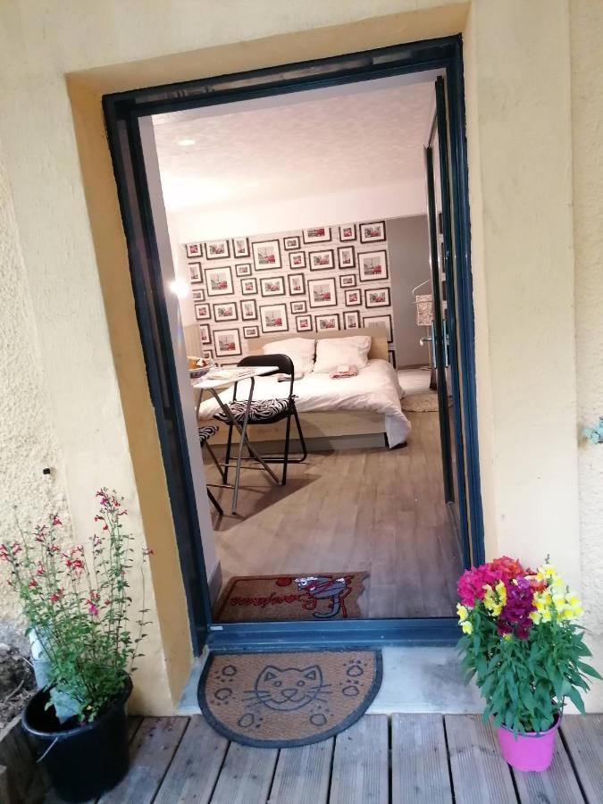 Guest House Dans Jardin Exotique Proche D'Une Voie Verte Morlaix Exterior photo